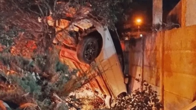 Chocó y quedó colgando de un árbol