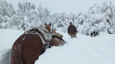 Continúan las fuertes nevadas en Chubut