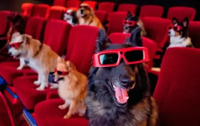 Argentina hará su primera función de cine Pet Friendly