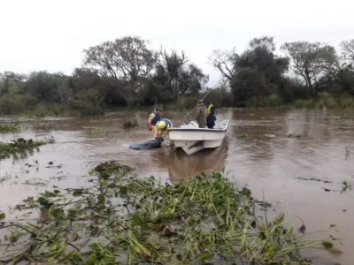 Encontraron el cuerpo de una mujer flotando en el río Paraná