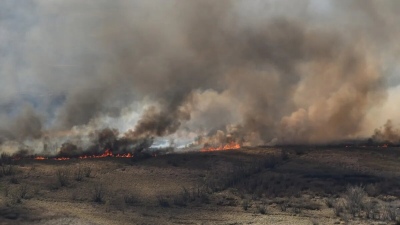 Las Fuerzas Armadas realizan tareas de apoyo en el Delta