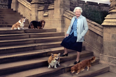 Los perros corgi de la reina Isabel II ya tienen dueño