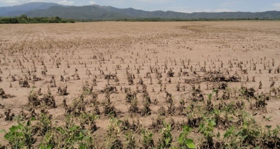 Salta atraviesa su peor sequía en 15 años