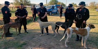 150 detenidos y 77 perritos rescatados