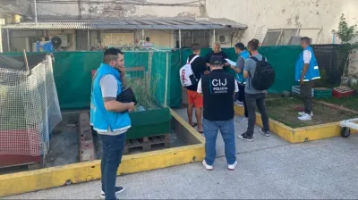 Desbarataron un criadero ilegal de perros que funcionaba en un jardín de infantes