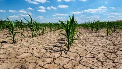 Declaran la emergencia agropecuaria en la Provincia de Buenos Aires