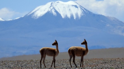 Las montañas, que albergan el 80% de agua dulce mundial, están en riesgo