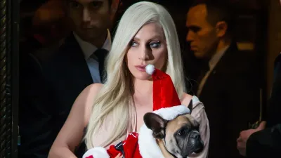 Le dieron 21 años de prisión al hombre que robó los perros de Lady Gaga