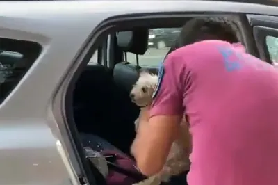 Un Policía salvó a un perro