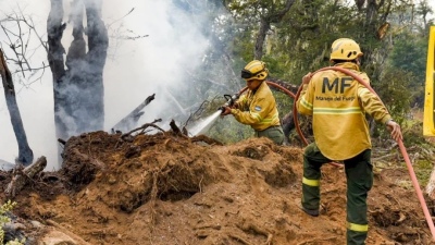 La Pampa, Córdoba, Entre Ríos y Corrientes empezaron el año con incendios forestales