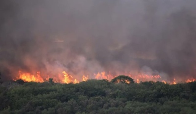 Se registró un incendio en la Reserva Ecológica Costanera Sur