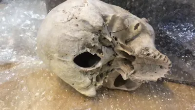 Encontraron una calavera en una encomienda postal