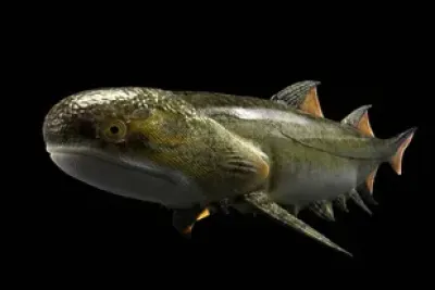 Encontraron una especie de “tiburón” que vivió hace más de 400 millones de años