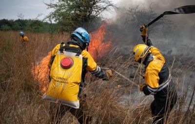 Corrientes: detectaron 20 focos de incendios