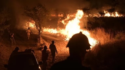Corrientes: se quemaron 4 mil hectáreas en Iberá