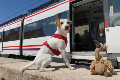 España: Renfe permitirá perros de hasta 40 kilos