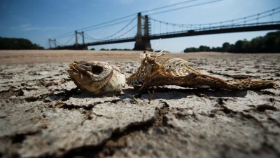 Europa sube su temperatura ¡el doble de rápido que el promedio mundial!