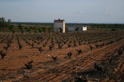 España: Muere un agricultor por un golpe de calor