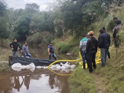 Caso Cecilia: no pudo extraerse ADN de los restos óseos ¿por qué?