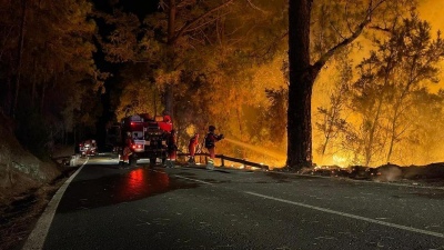 Incendio en Tenerife: "Es uno de los más graves en 40 años"