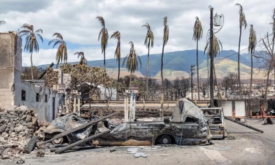 Biden visitará Hawái después de los graves incendios