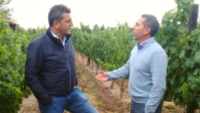 Sergio Massa viaja a Mendoza para confirmar la quita de retenciones en la industria del vino