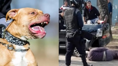 Habló una de las víctimas del Pitbull de Rosario: “el perro estaba endemoniado”