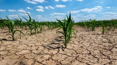 La ONU: "Comenzó el colapso climático"