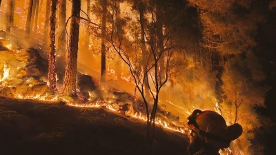 Después de un mes, lograron controlar el incendio en Tenerife