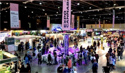 Expo Cannabis 2023: toda la info!