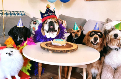 Lewis Hamilton le festejó el cumpleaños a su perro "Roscoe" en las redes y se volvió viral