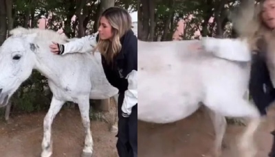 Insólito video: Juli Poggio fue a una granja y la pateó un caballo