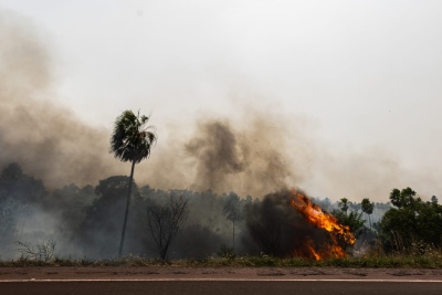 Se apagaron los focos de incendio en el humedal más grande del mundo en Brasil