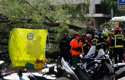 Muere una mujer en Madrid por la caída de un árbol