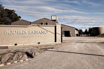 Un turista murió en una bodega de Mendoza al caer en una pileta de molienda