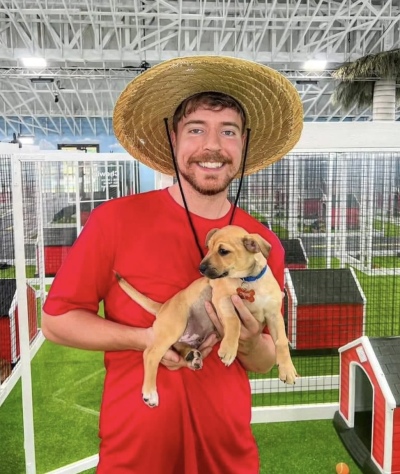 Mr. Beast rescató a 100 perritos abandonados