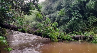 Las Islas del Delta siguen sin luz desde el temporal: el pedido de los vecinos