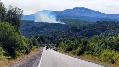 Luchan para controlar un incendio forestal en el Parque Nacional Los Alerces en Chubut