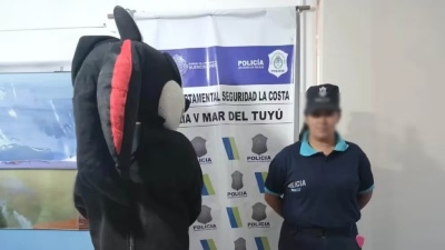 Detuvieron a un joven disfrazado de “Sonic” acusado de abusar de una menor en el trencito de la alegría