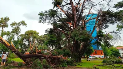 El fuerte temporal en Miramar provocó la muerte de dos personas