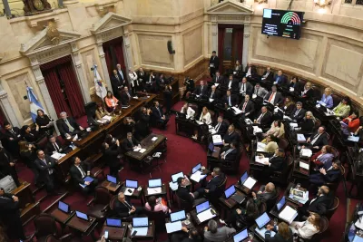 El Senado debatirá hoy el proyecto de Boleta Única de Papel