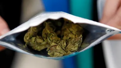 Alemania podría legalizar hoy el consumo de marihuana