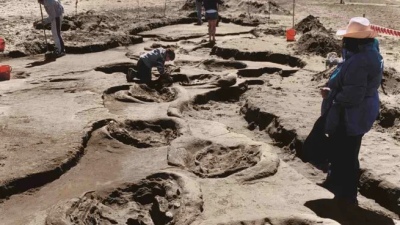 Encuentran restos fósiles de un perezoso de 25.000 años en las costas de Pehuen Co