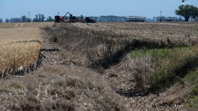 El INTA advirtió el posible regreso del fenómeno climático "La Niña"