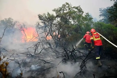 Parque Nacional Los Alerces: ofrecen una recompensa millonaria a quienes aporten datos del incendio