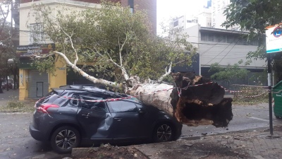 Terrible temporal en Rosario: récord histórico en caída del agua