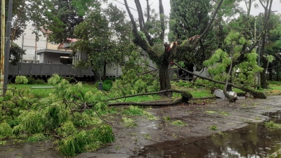 Terrible temporal en Buenos Aires: una mujer murió aplastada en Recoleta