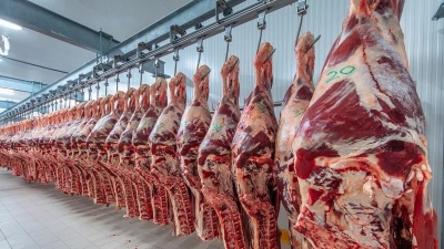 En febrero las exportaciones de carne fueron las más altas en 57 años