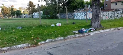 Aparecieron perros muertos en un baldío de Castelar: “Los matan para comérselos”