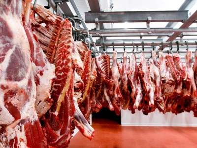 La producción de carne bovina se redujo un 8% en el primer trimestre del año